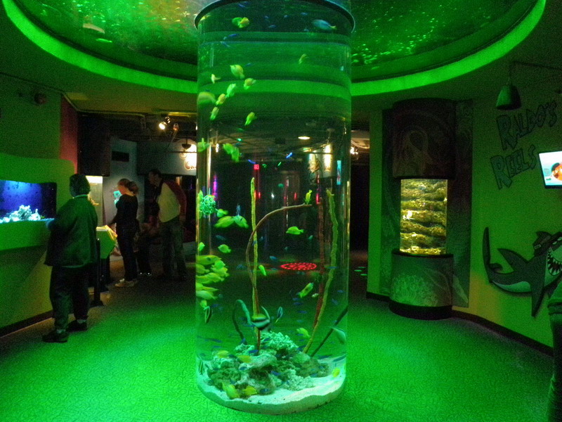 74P3187995.JPG