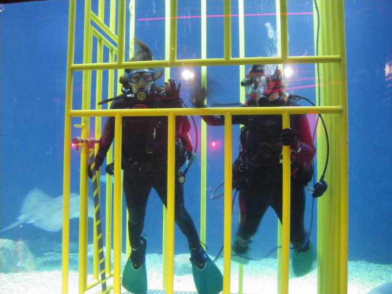 79 Florida Aquarium 2.13.11 195.jpg
