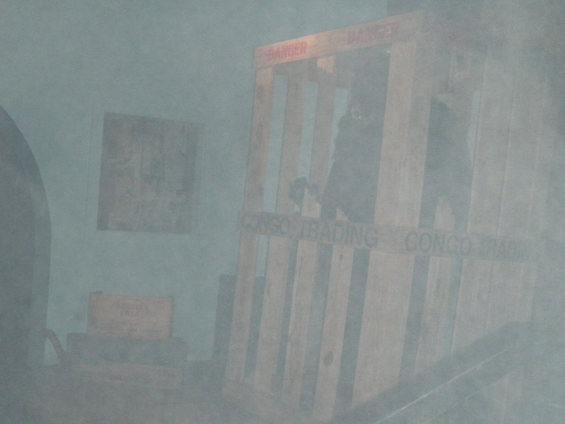 7P4124111.jpg