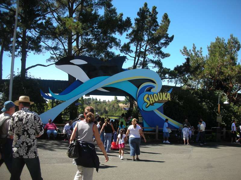 bayareaday3030.jpg