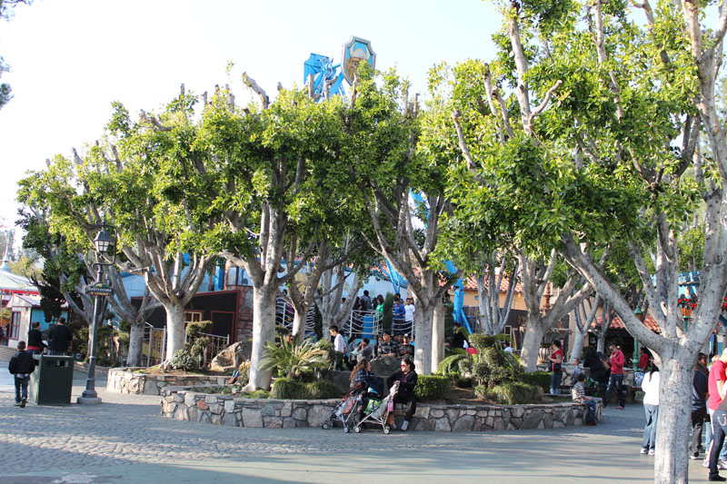 Castle Park 2.20.12 056.JPG