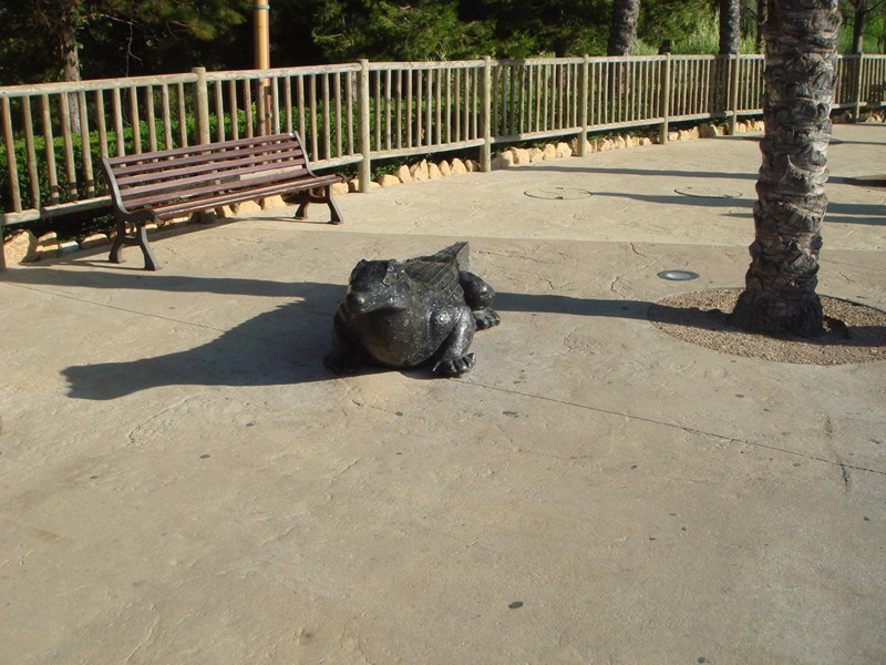 DSC04549.JPG