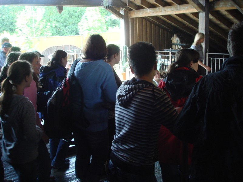 DSC05414.JPG