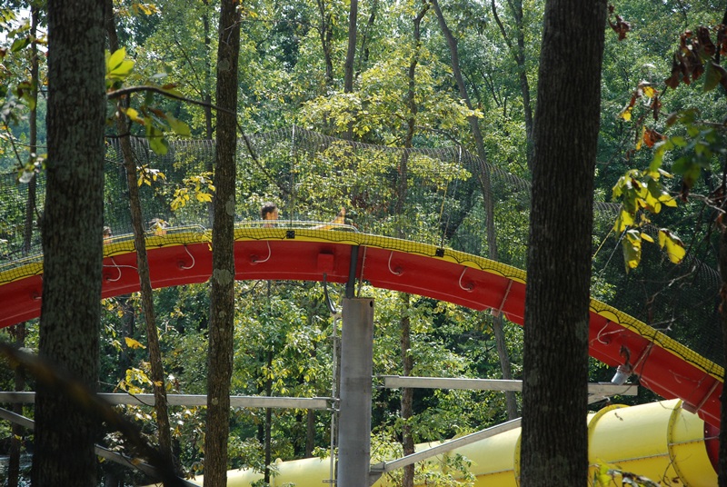 DSC_1141.jpg