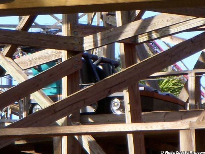 Gwazi.bmp
