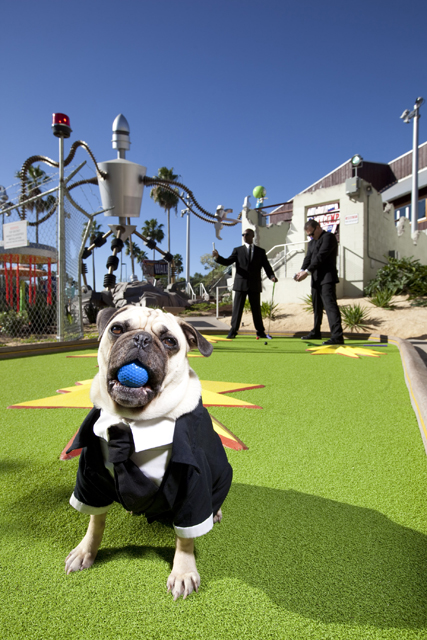Hollywood Drive-In Golf Now Open at Universal CityWalk 3 - LR.jpg