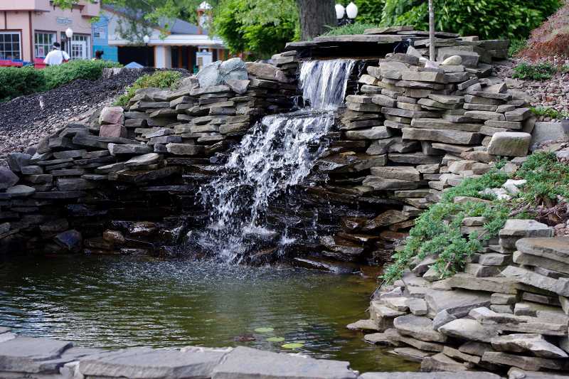IMGP1178.JPG