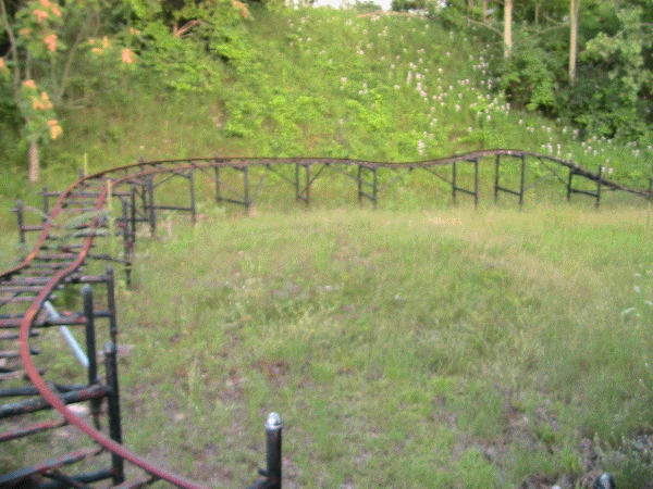 l_32c13210bafcd8b30129ba493a7b85c4.gif