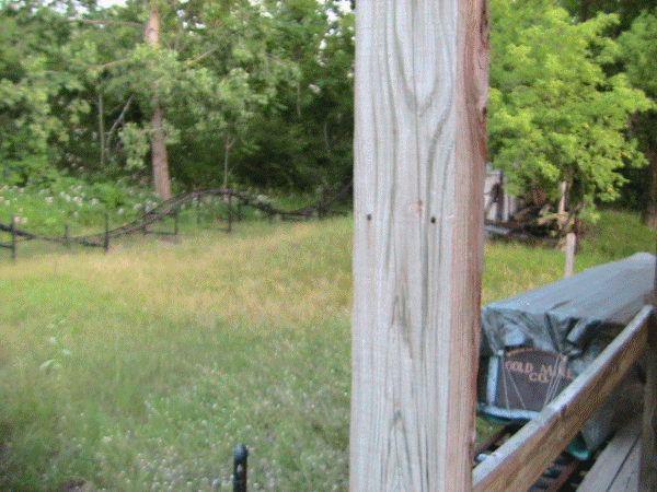 l_91a001876d99c286329d6db1cc2e6717.gif