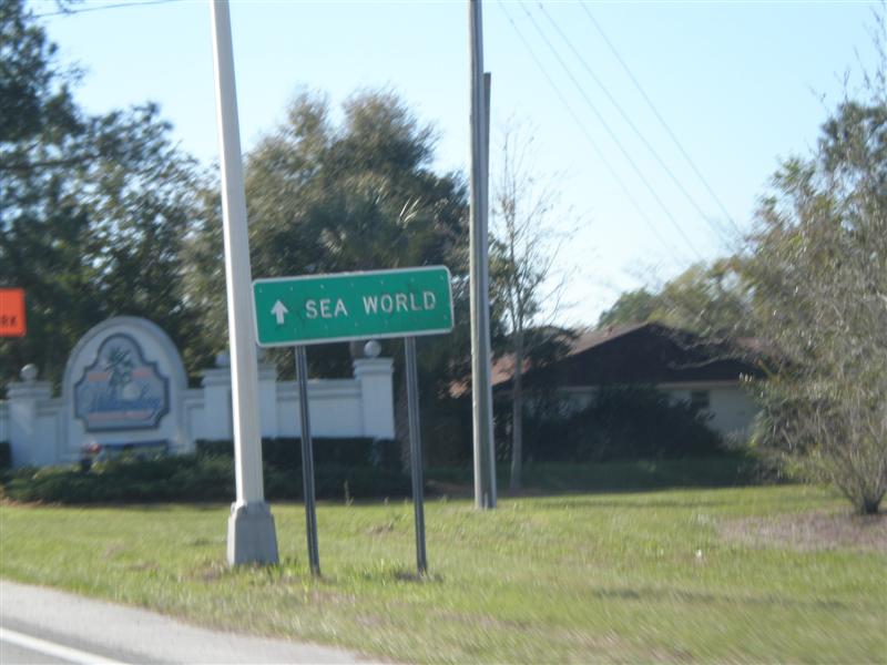 P2280008 (Medium).JPG