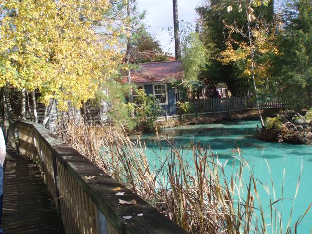 PB080037.JPG