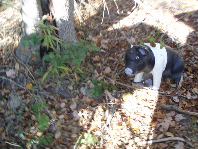 PB080045.JPG
