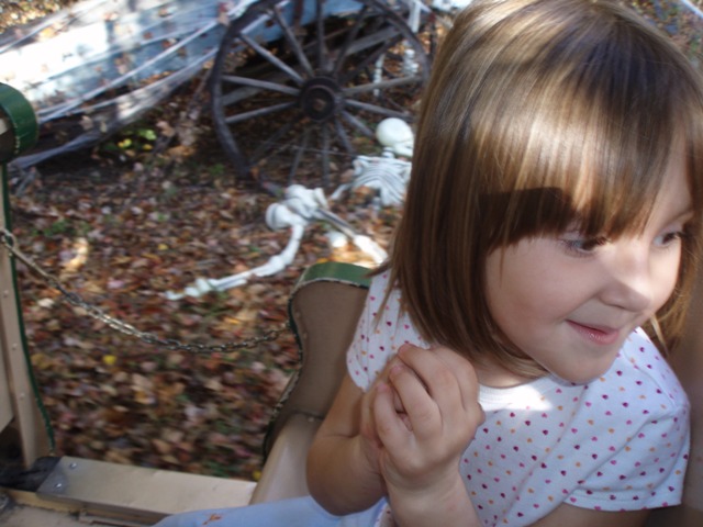 PB080047.JPG