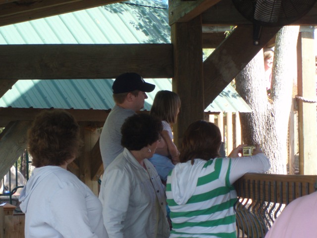 PB080065.JPG