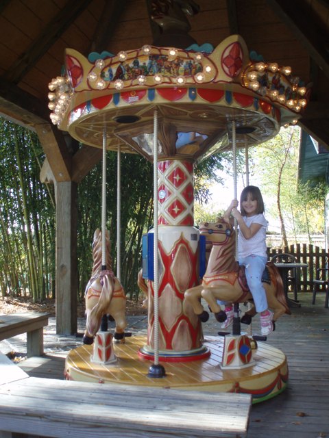 PB080080.JPG