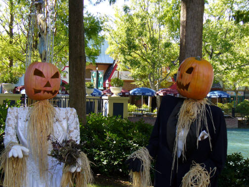 Punkinheads.JPG