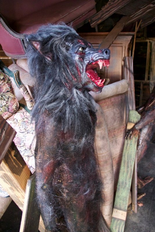 2017CGAHaunt - 13.jpg (577.03 KiB) Viewed 4794 times 2017CGAHaunt - 13.jpg