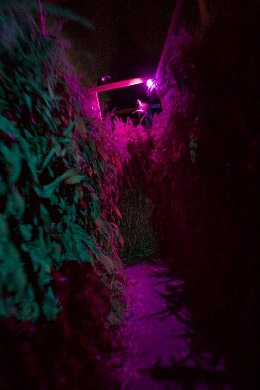 2017CGAHaunt - 67.jpg (473.18 KiB) Viewed 4794 times 2017CGAHaunt - 67.jpg