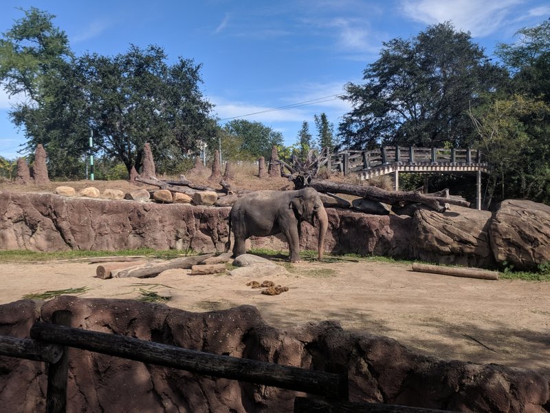 Animal 2.jpg (1019.73 KiB) Viewed 4466 times Animal 2.jpg