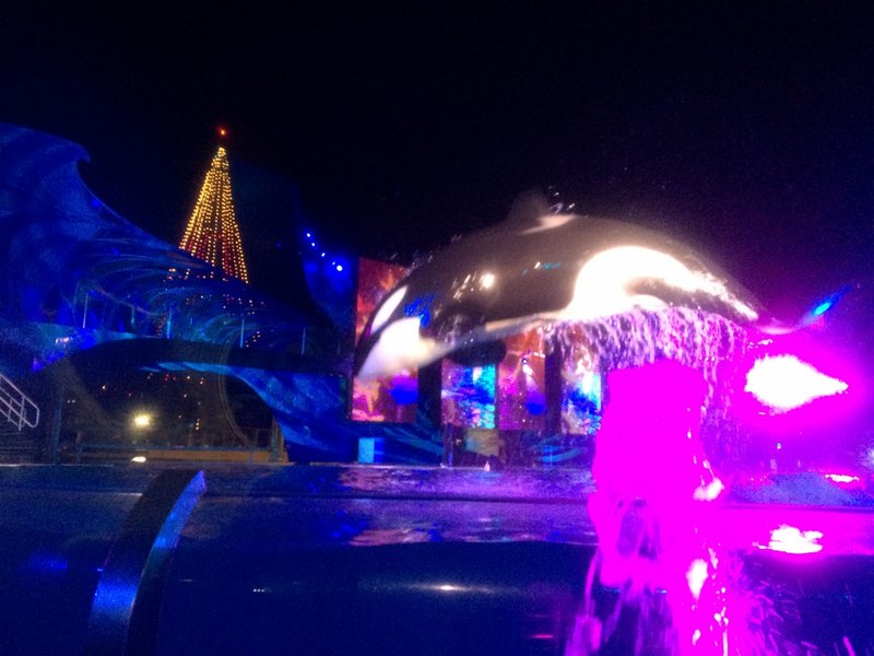 Shamu Jump (Night).JPG (708.08 KiB) Viewed 4387 times Shamu Jump (Night).JPG