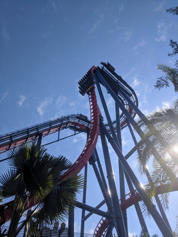 SheiKra Drop.jpg (538.11 KiB) Viewed 4466 times SheiKra Drop.jpg