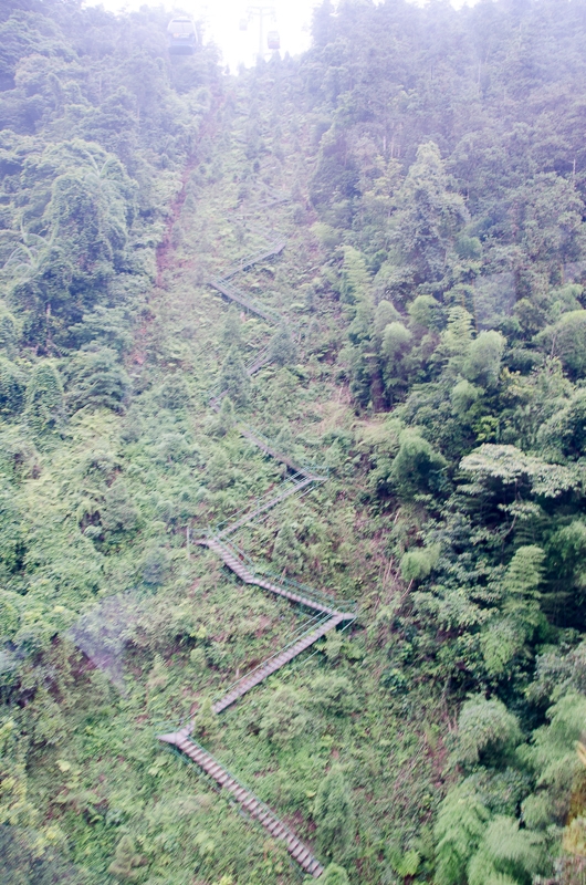 tprtaiwan_099.jpg