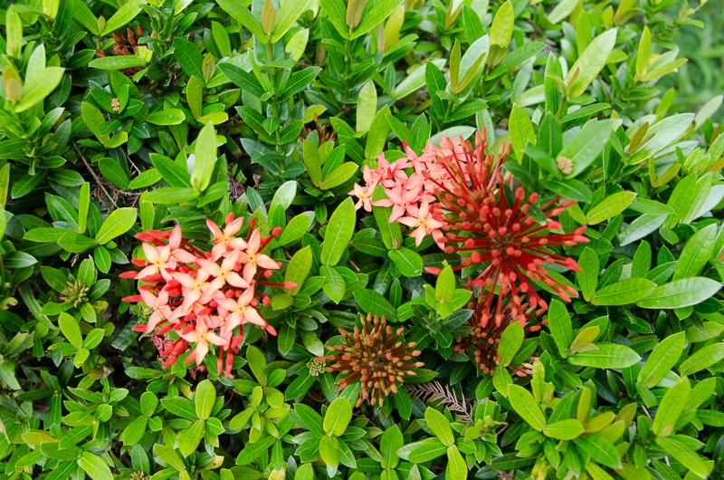 tprtaiwan_113.jpg