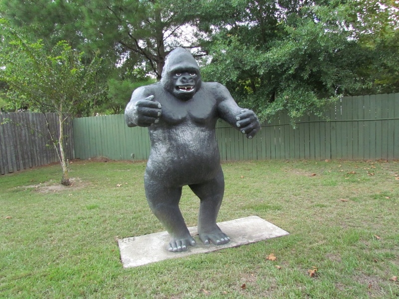 wa36.JPG