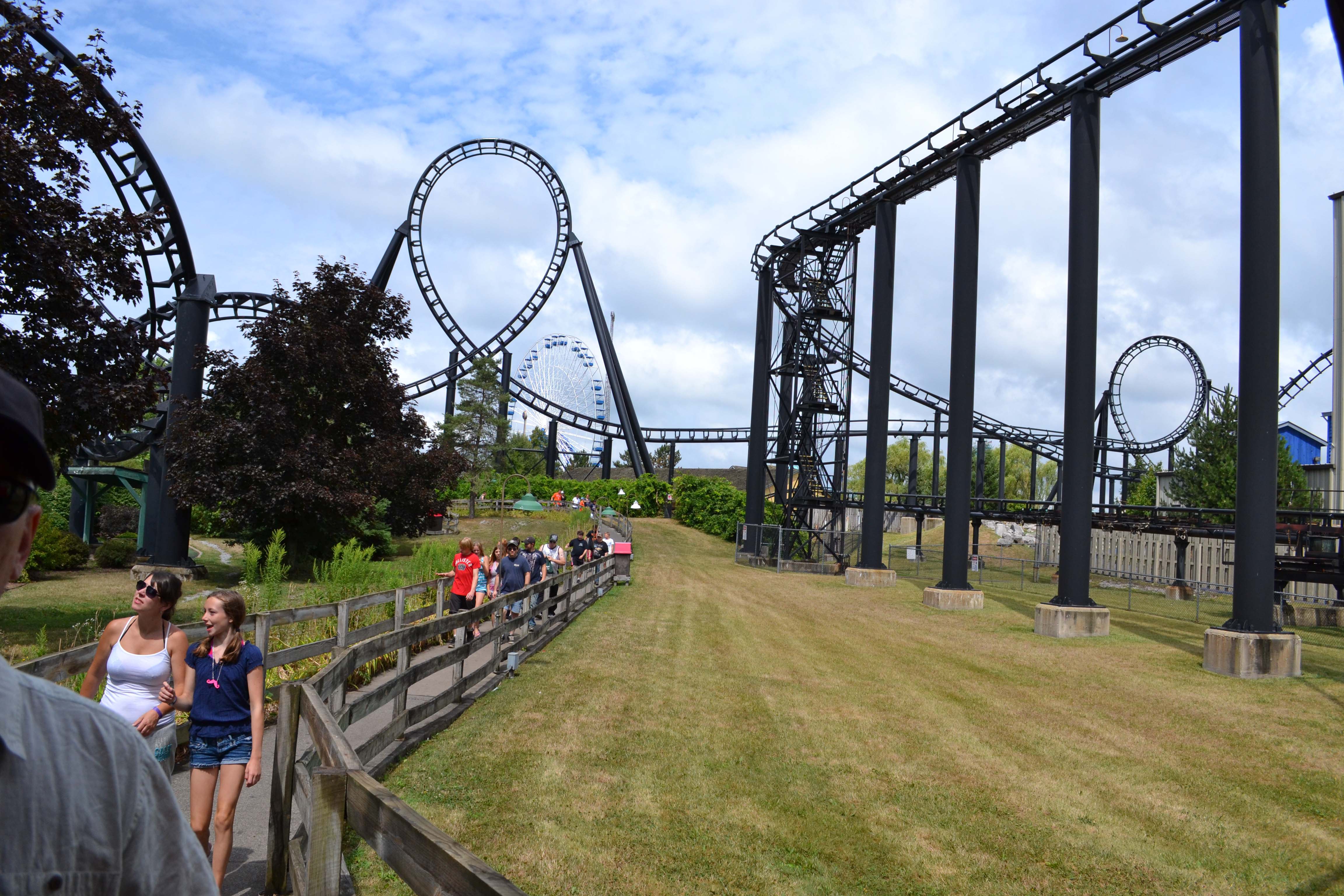 Darien Lake Viper