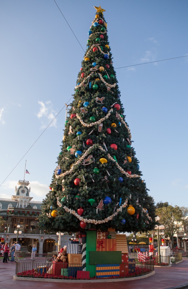 Magic Kingdom At Walt Disney World Walt Disney World Holiday