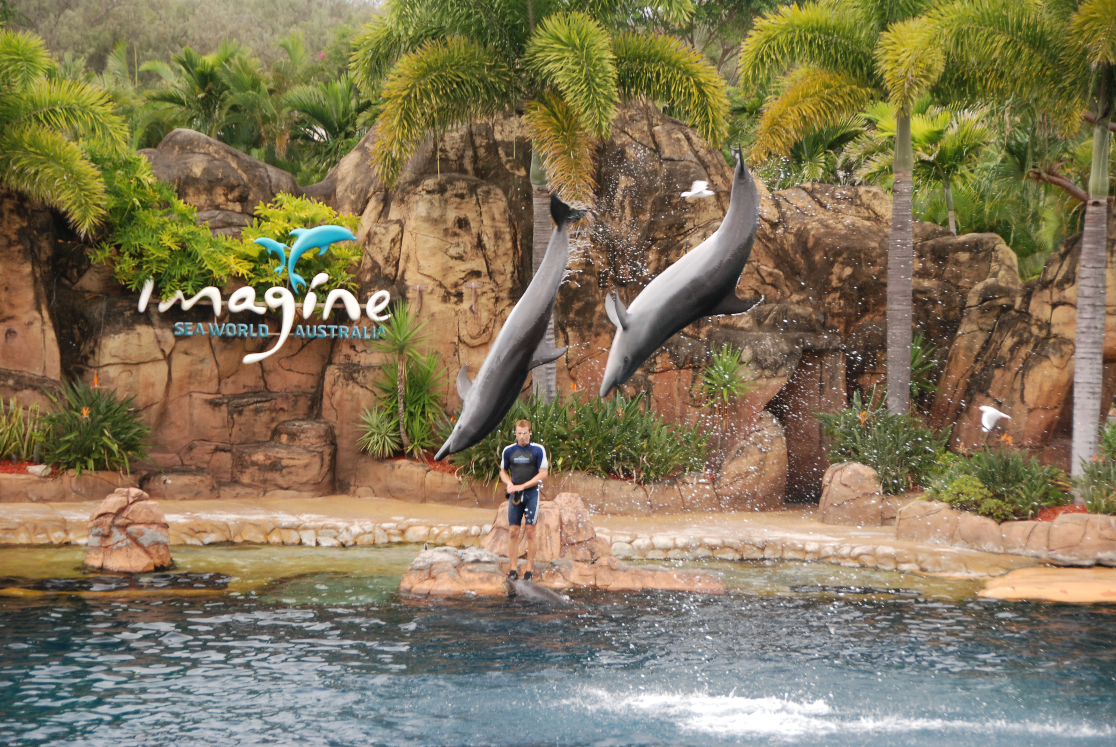 Sea World (Australia) - Imagine