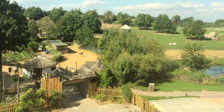 Report from Chessington World of Adventures!