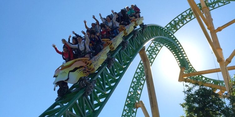 Craig's First Visit to Busch Gardens Tampa!