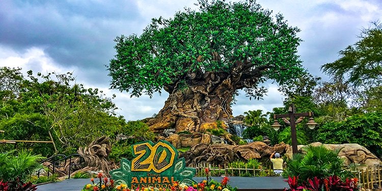 Disney's Animal Kingdom's 20th Anniversary Celebration!