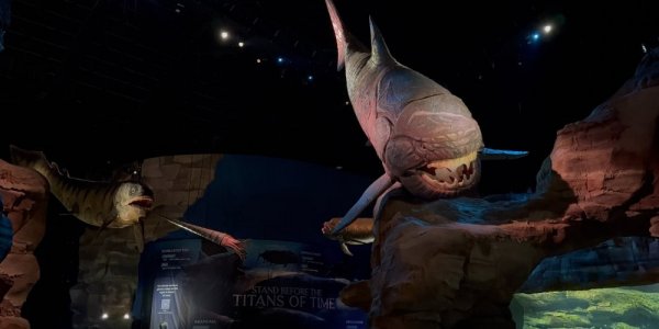 Adam Visits One of the World