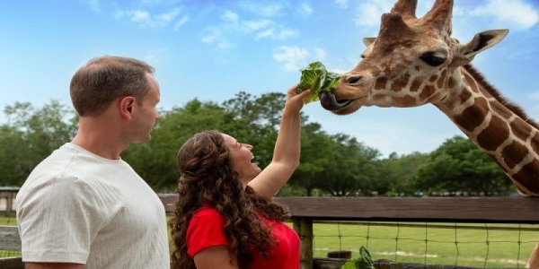 Wild Adventures Celebrates Their 30th Anniversary!